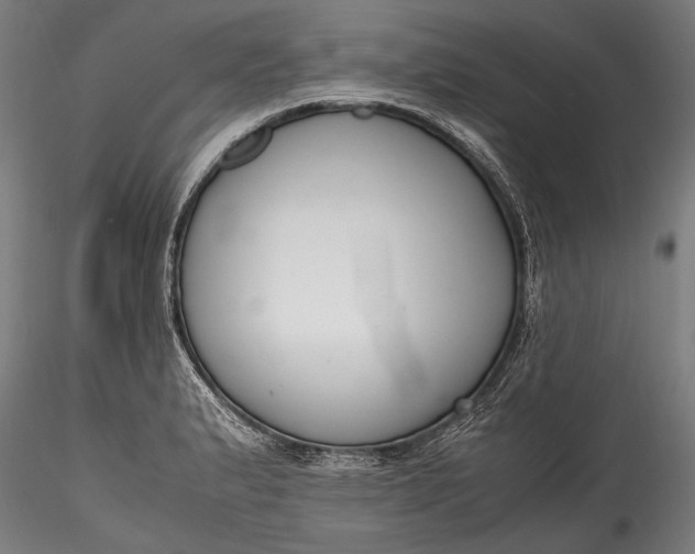 X0000115761183200911271110