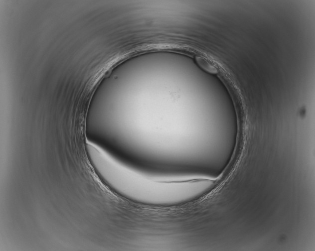 X0000115761185200911271110
