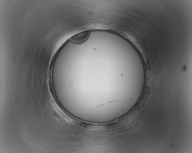 X0000115761187200911271110