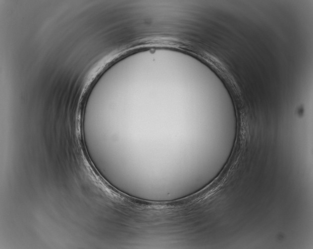 X0000115761188200911271110