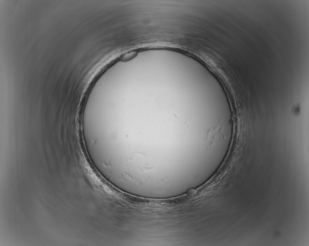 X0000115761189200911271110
