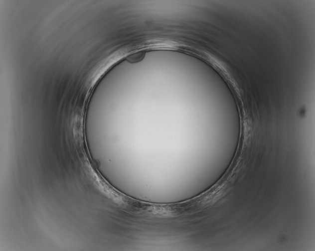 X0000115761194200911271109