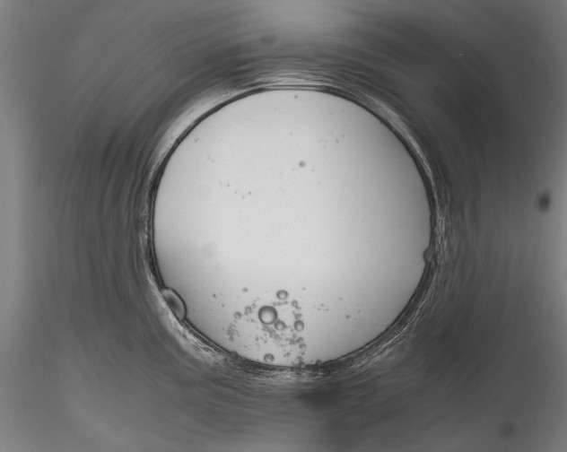 X0000115761195200911271109
