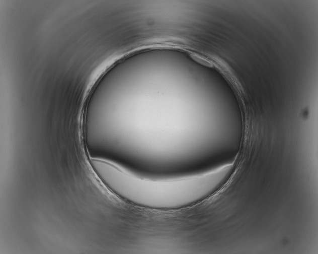 X0000115761196200911271109