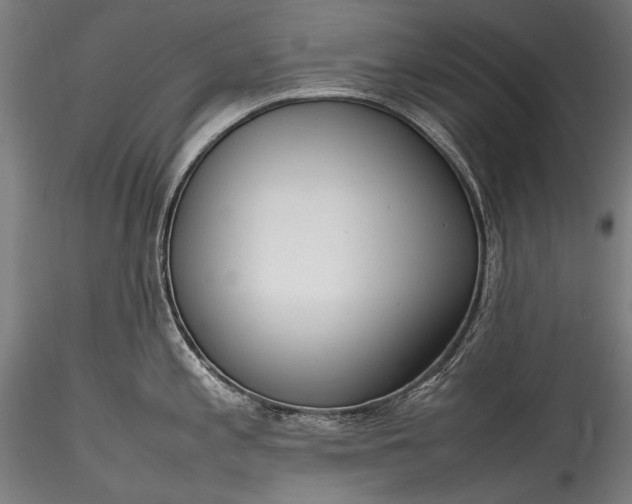 X0000115761197200911271109