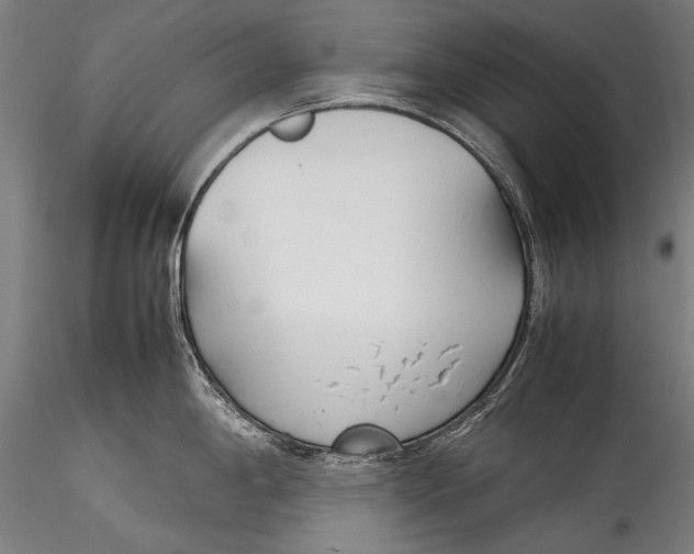 X0000115761198200911271109