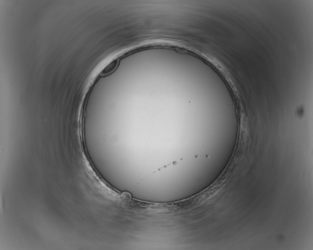 X0000115761199200911271109