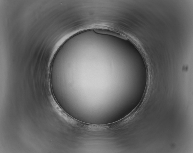 X0000115761200200911271109