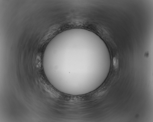 X0000115761203200911271108