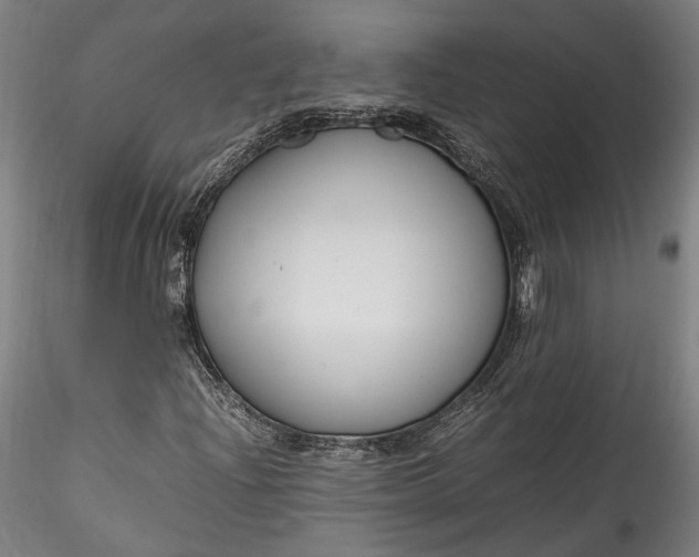 X0000115761204200911271108
