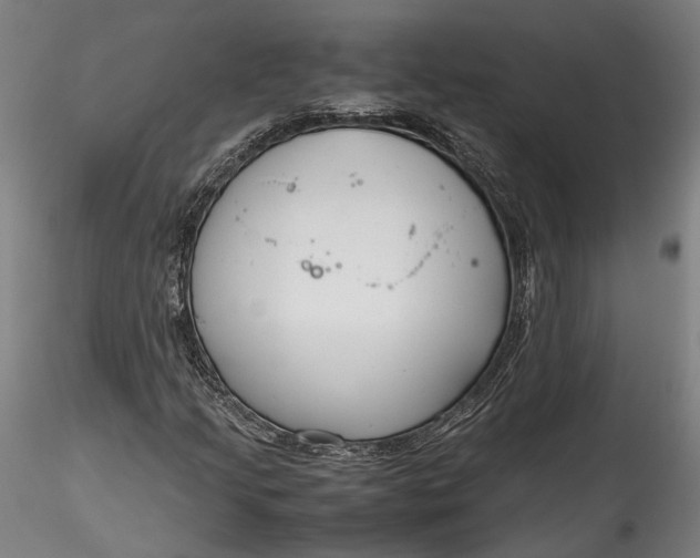X0000115761205200911271108