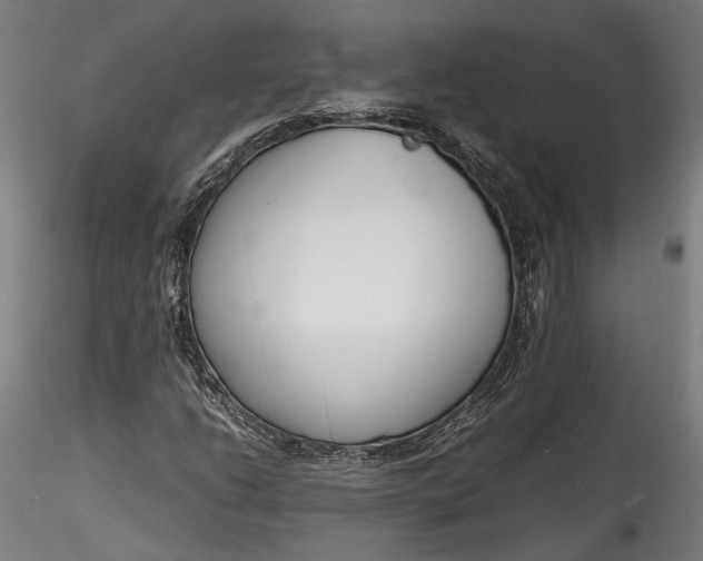 X0000115761206200911271108