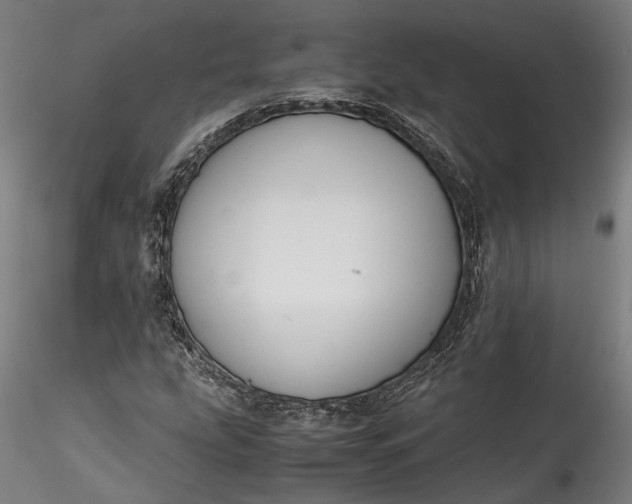 X0000115761207200911271108