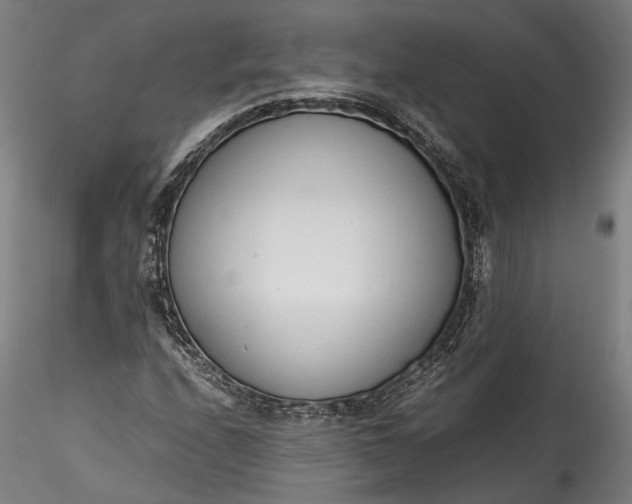 X0000115761208200911271108
