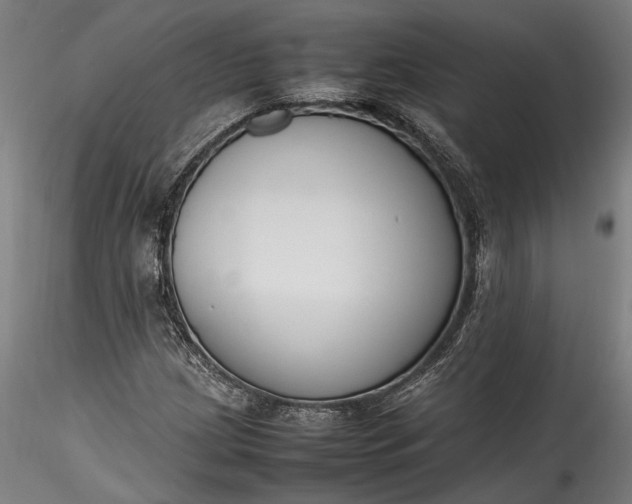 X0000115761209200911271108