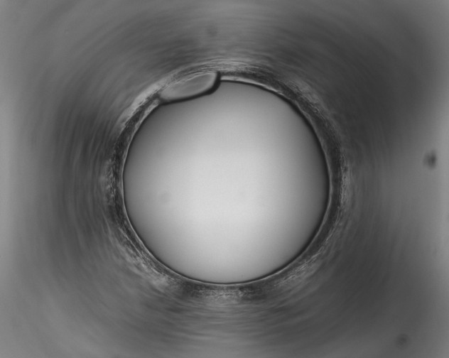 X0000115761210200911271109