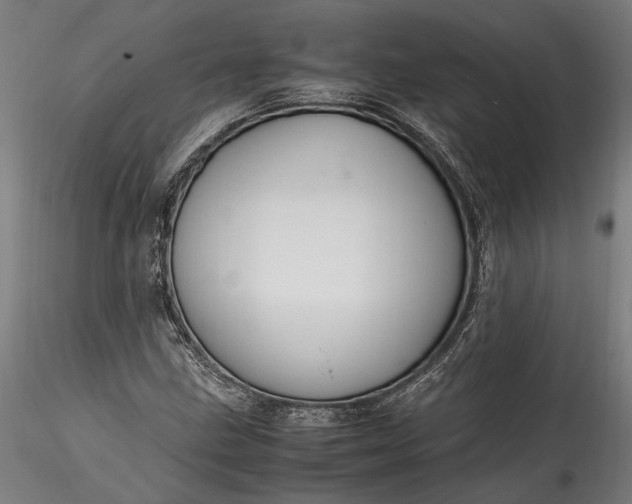 X0000115761211200911271109