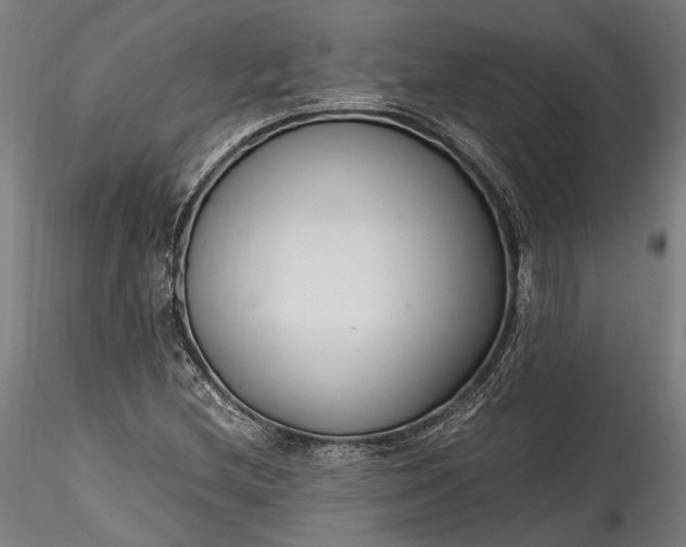 X0000115761212200911271109
