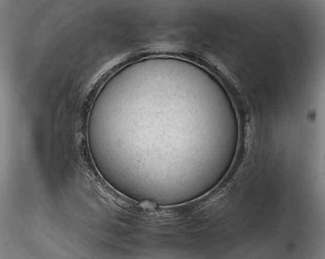 X0000115761213200911271109