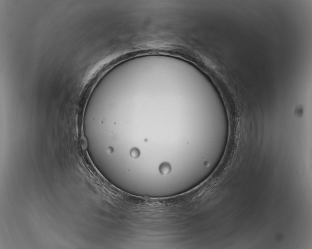 X0000115761214200911271109