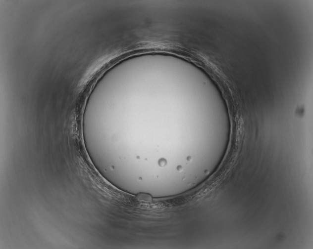 X0000115761215200911271109