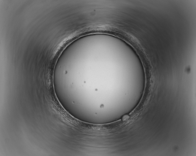 X0000115761218200911271109