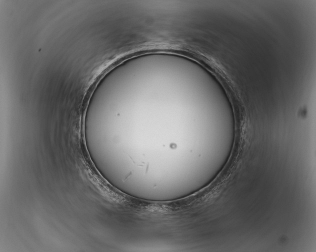 X0000115761220200911271109