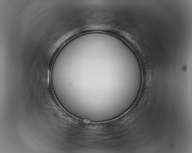 X0000115761221200911271109