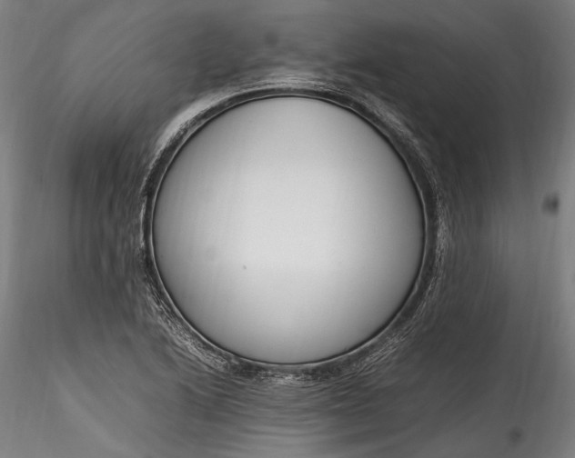 X0000115761222200911271109