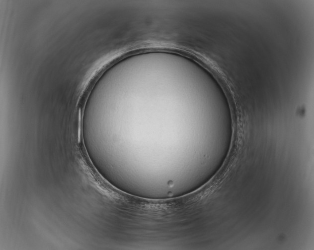 X0000115761223200911271109