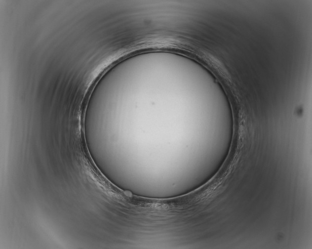 X0000115761226200911271109