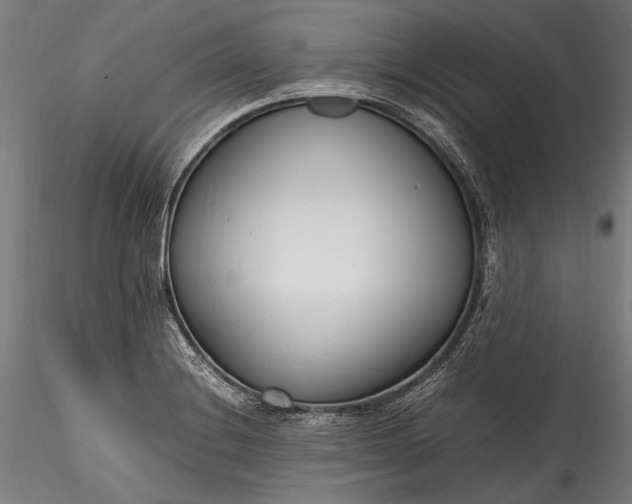 X0000115761228200911271109