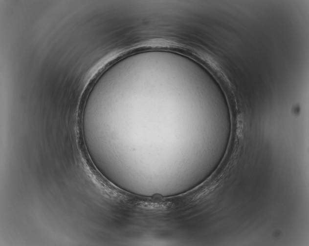 X0000115761229200911271109