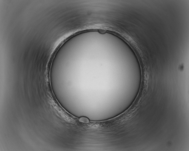 X0000115761230200911271109