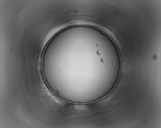 X0000115761231200911271109