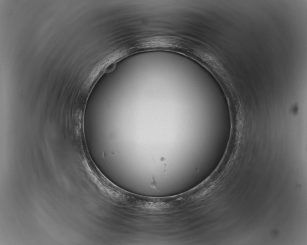 X0000115761233200911271109
