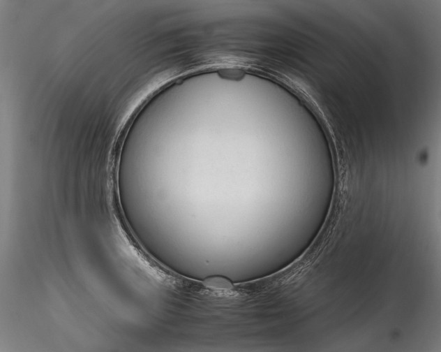 X0000115761235200911271109