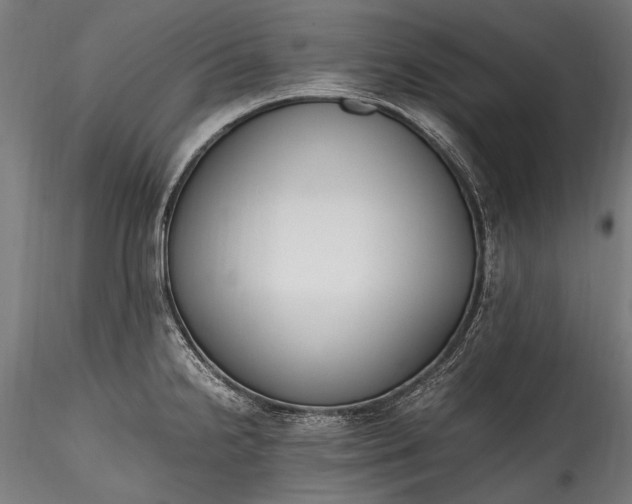 X0000115761238200911271109