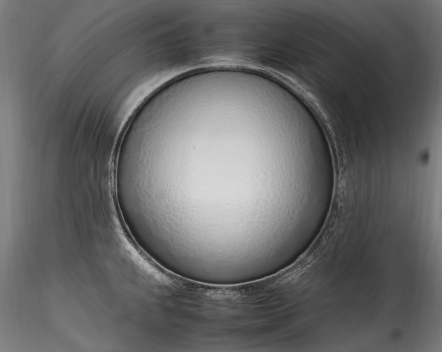 X0000115761239200911271109