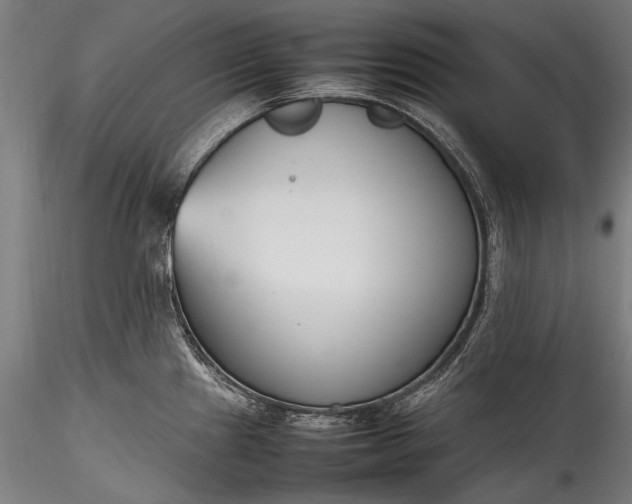 X0000115761241200911271109