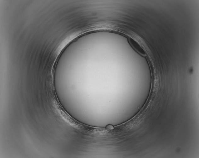 X0000115761242200911271109