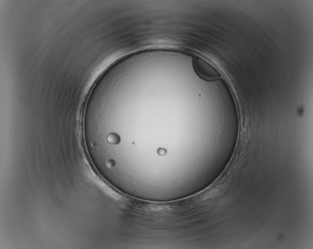 X0000115761243200911271109