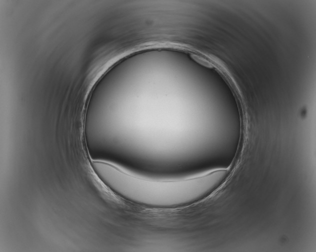 X0000115761244200911271109