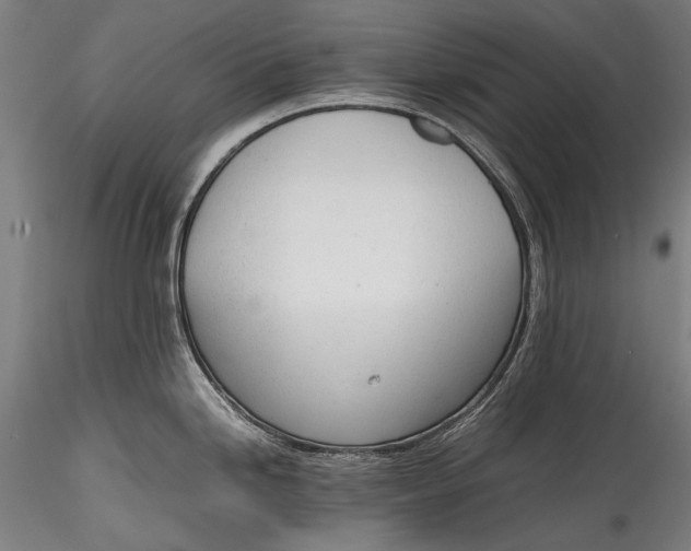 X0000115761246200911271109