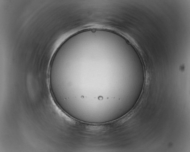 X0000115761247200911271109