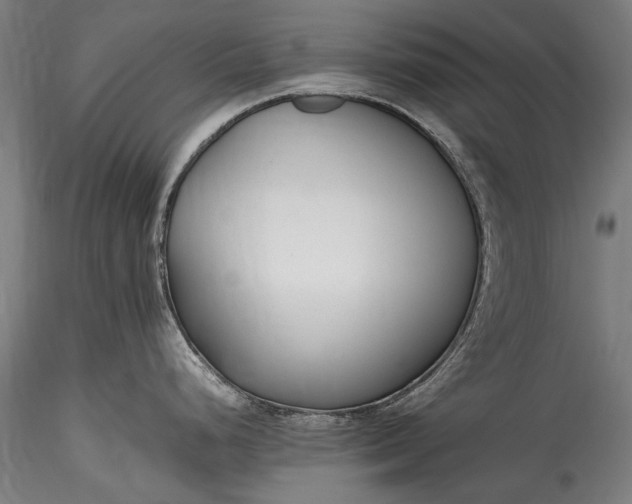 X0000115761248200911271109
