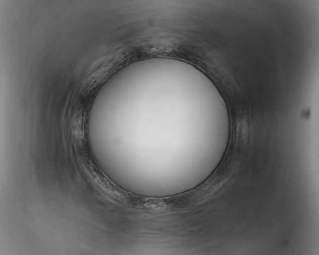 X0000115761250200911271108