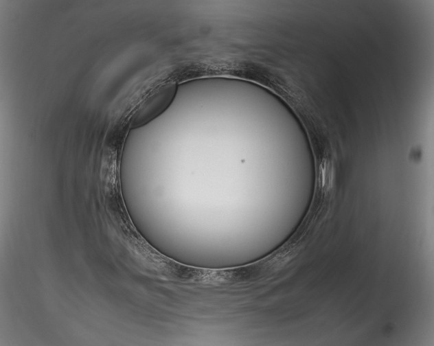 X0000115761251200911271108