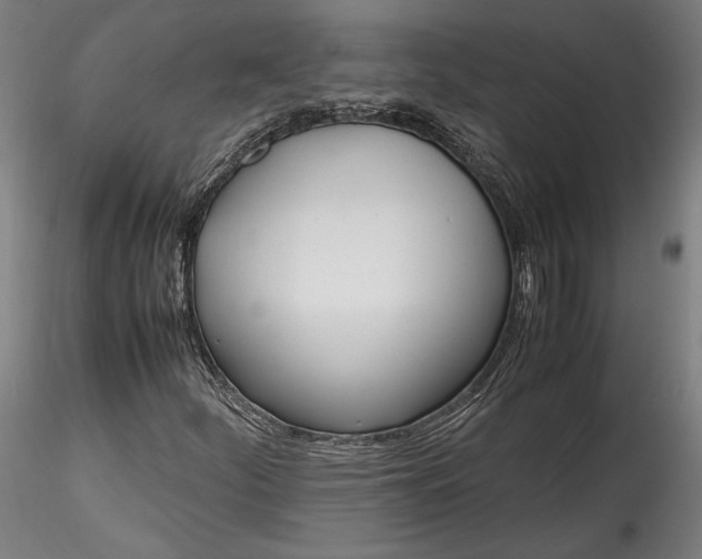 X0000115761252200911271108
