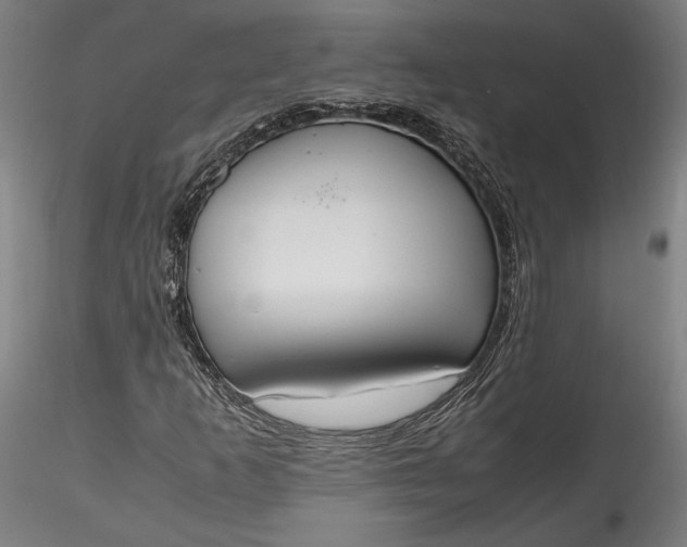 X0000115761253200911271108